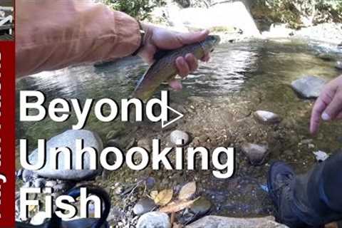 Review How to Use Fly Fishing Forceps or Pliers