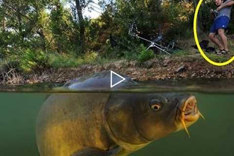 Top 17 Shocking Fishing Moments 2016 (Monster,Fish,Crazy,Catfish,Funny)