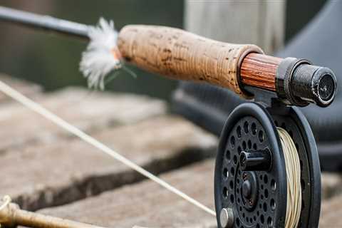 What size fly rod should i start with?