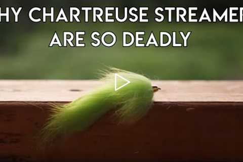 Why Chartreuse Streamers Work for Trout