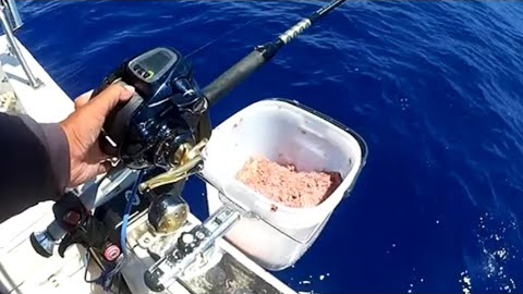 Offshore Bottom Fishing with My Favorite Bait in Japan
