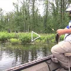 Fishing Reelfoot Lake