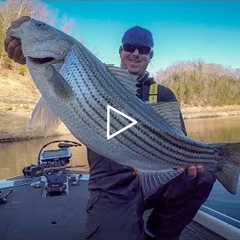 Winter Bass Fishing - Lake Cumberland