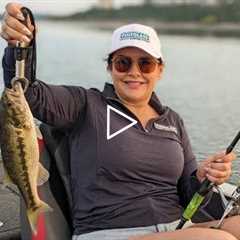 Table Rock Lake Video Fishing Report August 24, 2022