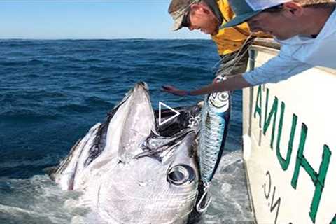 Amazing Longline GIANT BlueFin TUNA. Big Catch Fishing on The Sea