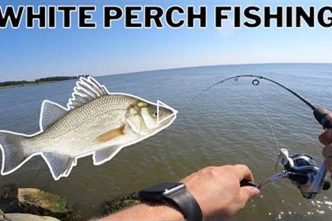 Chesapeake Bay Fishing! (White Perch Catch Clean Cook)