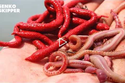 SAVE YOUR MONEY! Artificial Gulp Worms VS LIVE Bloodworms