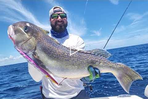 How To Find Fish? | Slow Pitch Jigging | Golden Tilefish | Offshore Fishing | JohnnyJigs