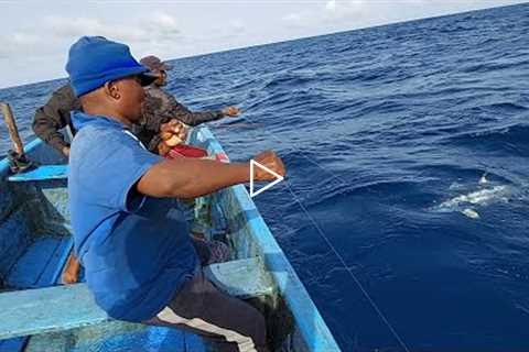 fishing for yellowfin tuna fish  catching skills handline fishing video amazing fishing