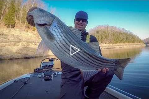 Winter Bass Fishing - Lake Cumberland