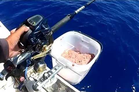 Offshore Bottom Fishing with My Favorite Bait in Japan