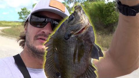 Fishing with the Whopper Plopper {Catch n cook}