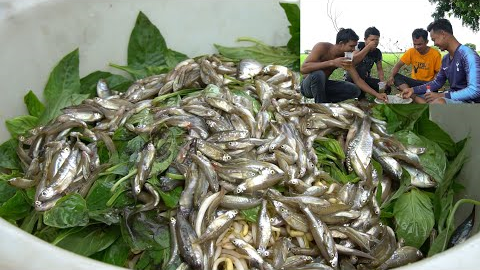 EATING ALIVE BABY FISH JUST CATCH FROM THE WATER | Oh! My God! These all of men eat all this fish