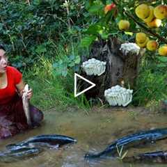 Pick apple & mushroom catch fish for food in forest- Cooking fish spicy with mushroom so..