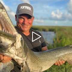 Garfish (Catch*Clean*Cook) Gar Patties With Crawfish Etouffee