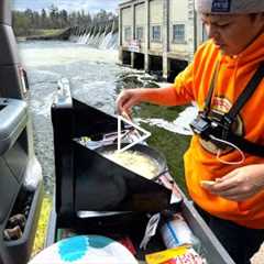 Walleye Catch and Cook out of My Truck | Feeding Strangers...