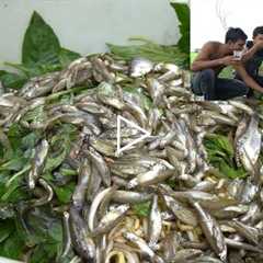 EATING ALIVE BABY FISH JUST CATCH FROM THE WATER | Oh! My God! These all of men eat all this fish