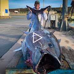 $1,000,000.00 FISH {Catch Clean Cook} GIANT BlueFin TUNA!!!