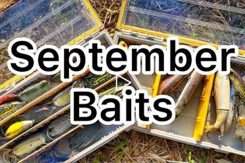 The Baits for September - Bass Fishing