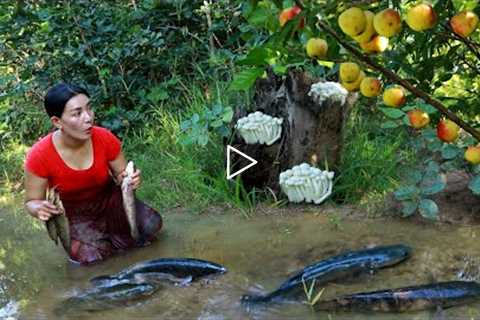 Pick apple & mushroom catch fish for food in forest- Cooking fish spicy with mushroom so..