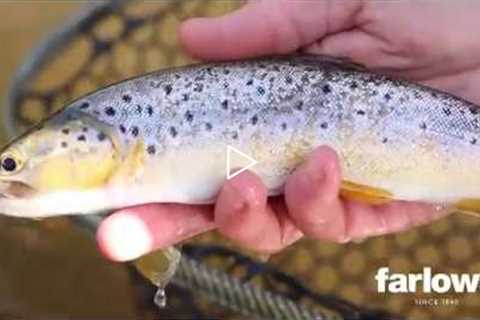 Nick's Beginners Guide to Fly Fishing On Rivers