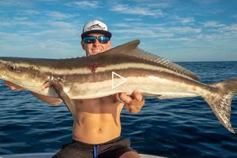 Nearly IMPOSSIBLE to Catch this Fish... Catch Clean Cook (Cobia)