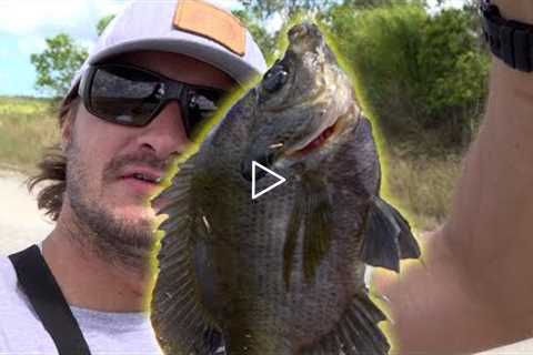 Fishing with the Whopper Plopper {Catch n cook}