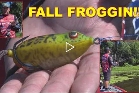 Frog Fishing Tips For Fall Bass Fishing | Bass Fishing