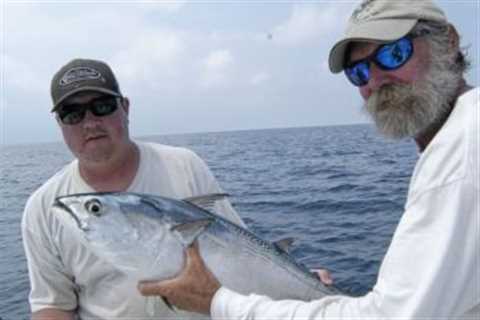 Fall Fishing For False Albacore…..It’s Almost Time