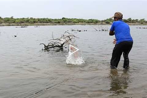Uniquefishing in river| miss BIG rohu| catching big rohu fishes| awsome video