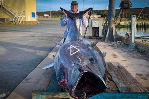 $1,000,000.00 FISH {Catch Clean Cook} GIANT BlueFin TUNA!!!