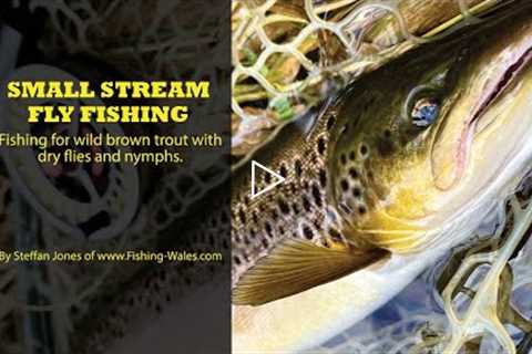 BROWN TROUT FISHING; SMALL STREAM DRY FLY & NYMPH FISHING IN WALES, BY STEFFAN JONES