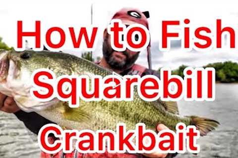 How to Fish a Squarebill Crankbait - Fall Bass Fishing