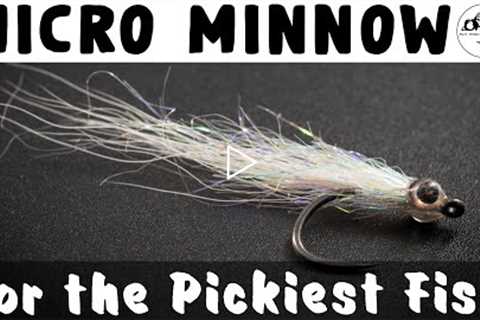 Use This Fly When the Fish Won't Eat - Micro Minnow - Fly Tying Tutorial
