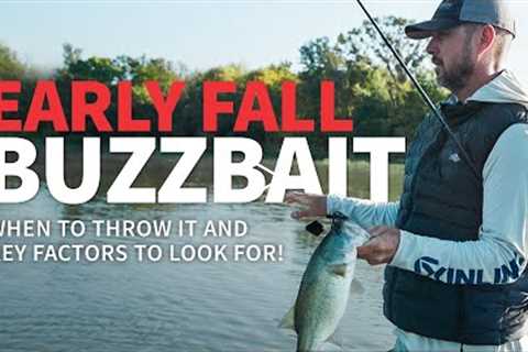 Early Fall BUZZBAIT! (When & Why you should throw it)