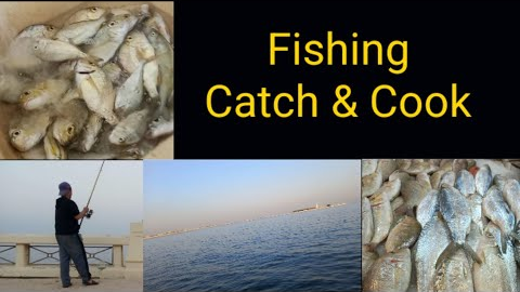 Fishing Catch and Cook |Mharbecc TV