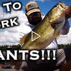 The Best Lake Fork Bass Fishing Tip For 2022!!! How To Fish The Best Structure Like A Pro Angler!