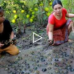 Pick a lot snail and natural fruit in flood forest- Cooking snail with chili sauce for food to night