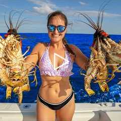DIVING after HURRICANE! 1000s of LOBSTERS Migrating! Catch, Clean & Cook!