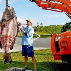 How to Clean and Cook a 300lb Grouper