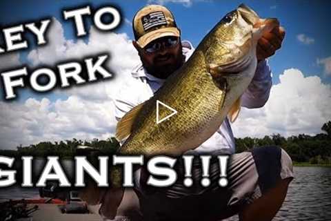 The Best Lake Fork Bass Fishing Tip For 2022!!! How To Fish The Best Structure Like A Pro Angler!