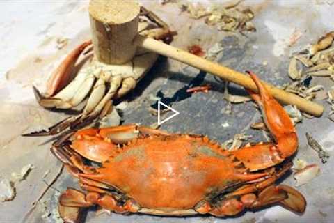 BLUE CRABS!!! How to catch crabs - How to cook and eat crabs