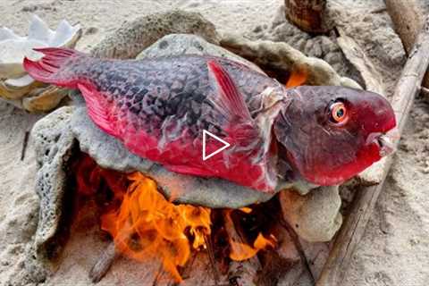 Parrot Fish Cooking on HOT ROCKS!! Delicious Seafood Spear Catch and Cook