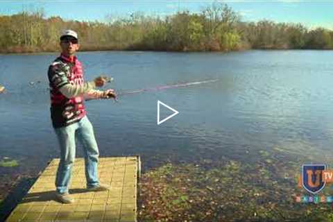 How to Set a Hook - Bass Fishing Tips for Beginners