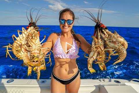 DIVING after HURRICANE! 1000s of LOBSTERS Migrating! Catch, Clean & Cook!