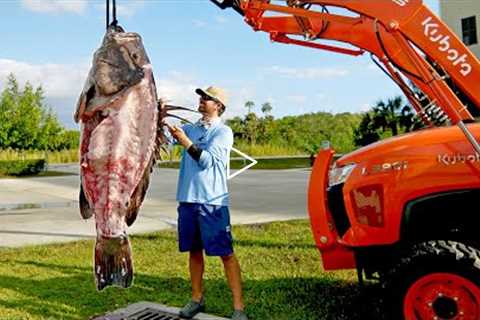How to Clean and Cook a 300lb Grouper