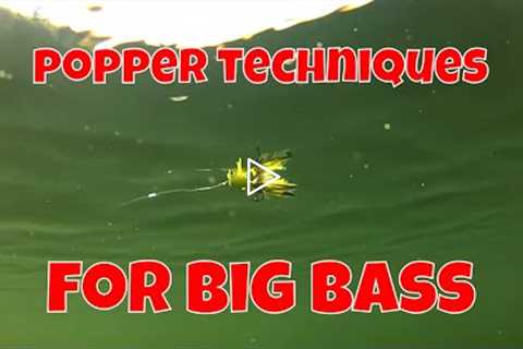 FLY FISHING TECHNIQUES FOR BIG BASS