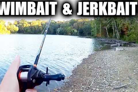 Fall Fishing Lures for Bass - Keitech Swimbait and Jerkbait Minnow!