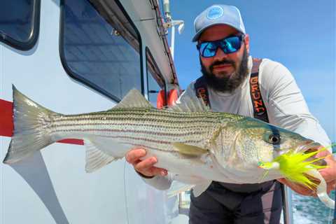 Discover The Orient Rig For Deep Water Stripers and Blues