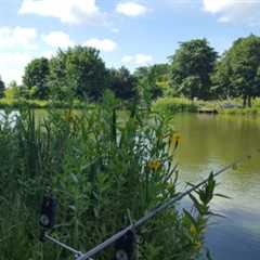 Lavender Hall Fishery